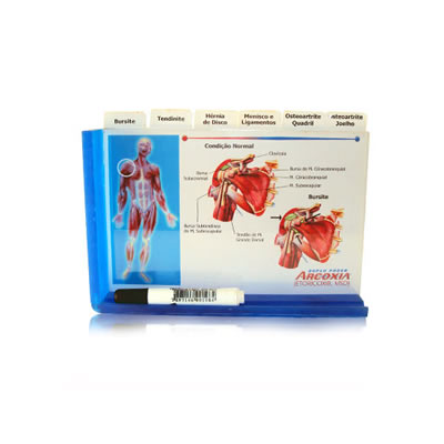 Display Didático com até 6 encartes